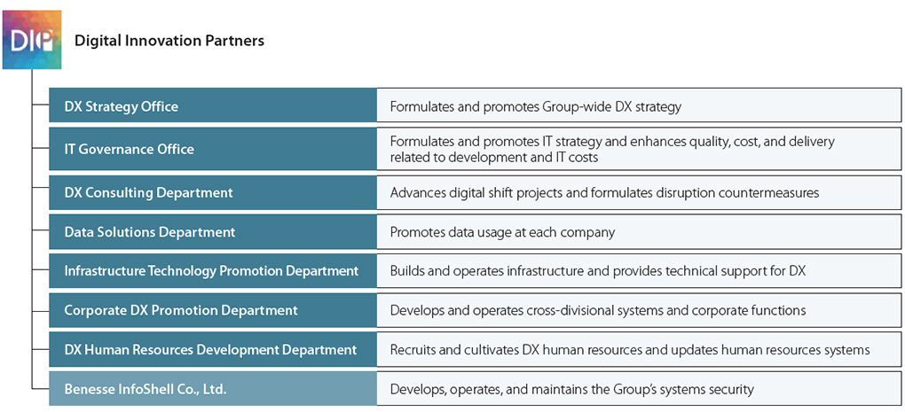 DIP organizational structure