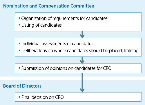 Process for selection of Chief Executive Officer