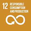 SDG 12 RESPONSIBLE CONSUMPTION AND PRODUCTION