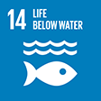 SDG 14 LIFE BELOW WATER