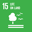 SDG 15 LIFE ON LAND