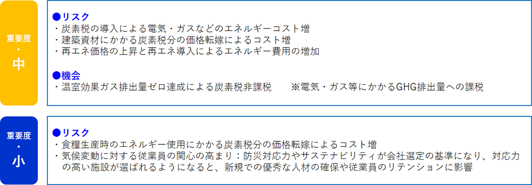 重要度(大・中・小)ごとに、移行リスク・物理リスク・機会についてまとめた表